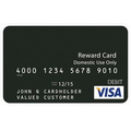 $100 Visa(R) Prepaid Reward Card